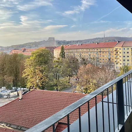 Kamzik